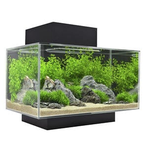 Fluval Edge akvārijs