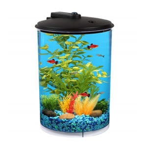 Koller Aquaview 3 galonu tvertne
