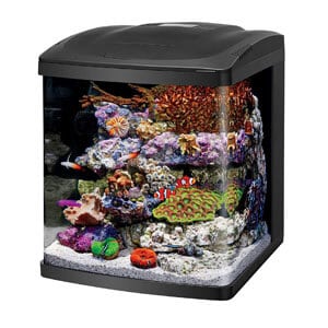 Coralife Nano Cube zivju tvertne