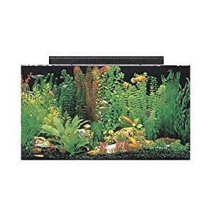 Perfekta Cichlid tvertne